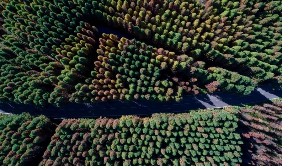 Зимние пейзажи "города весны"