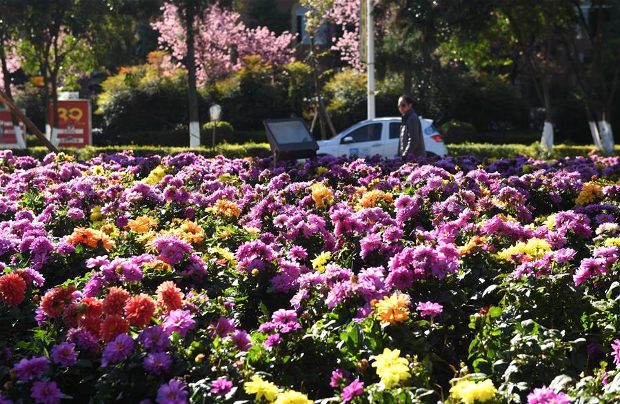 Зимние пейзажи "города весны"