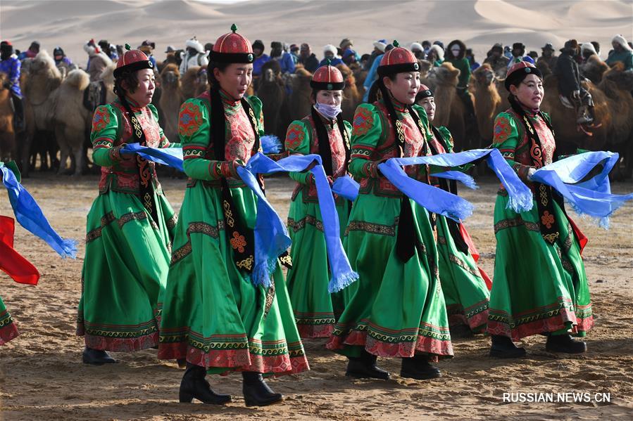 Во Внутренней Монголии начался фестиваль верблюдов
