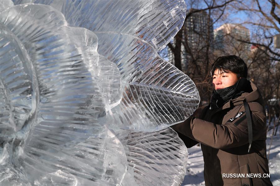 Студенческий конкурс ледяных скульптур завершился в Харбине