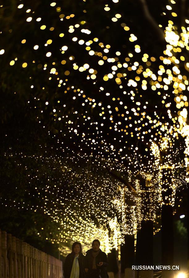 Новогодние украшения в уезде Сюаньэнь провинции Хубэй