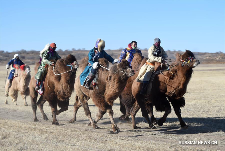 Традиционный праздник "Наадом" проходит в хошуне Шулун-Хух