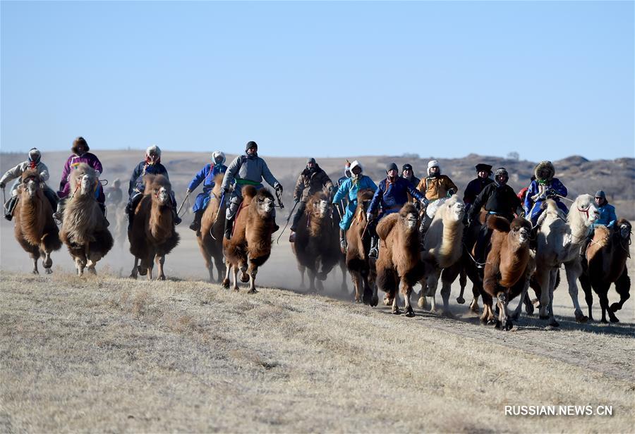 Традиционный праздник "Наадом" проходит в хошуне Шулун-Хух