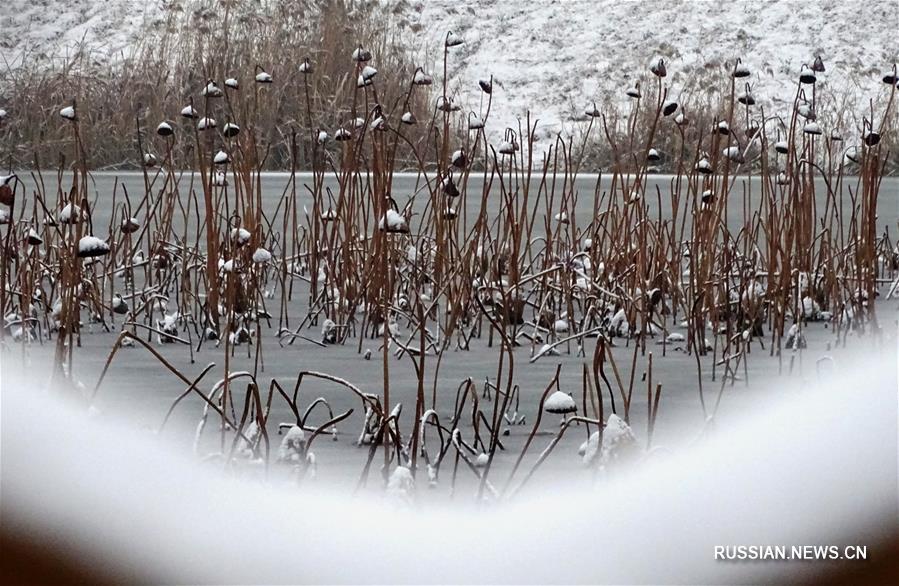Снегопады на юге провинции Шаньдун