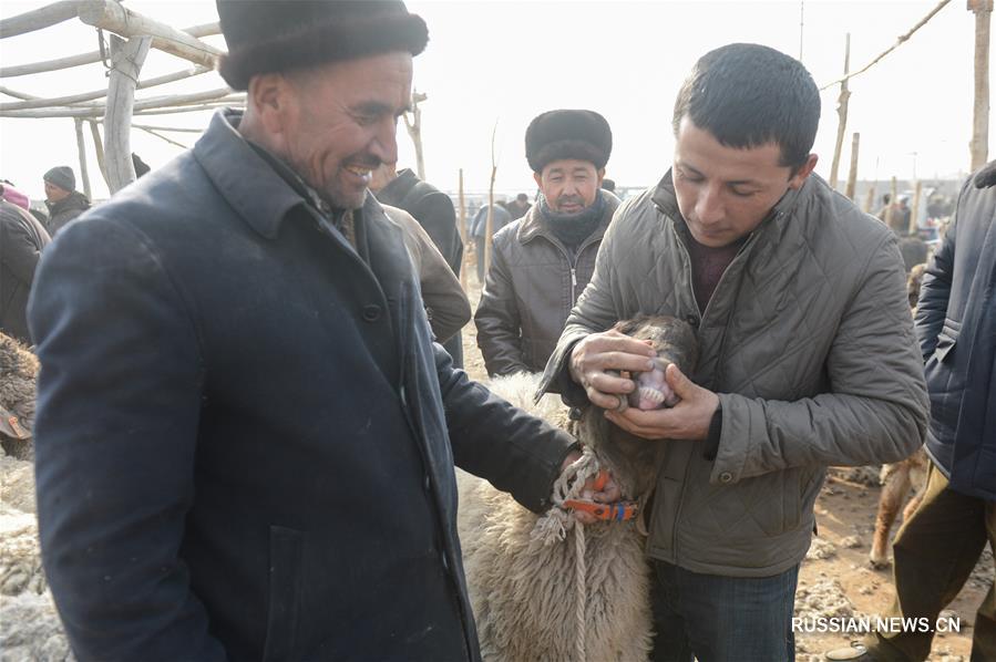 Птичий рынок в Кашгаре