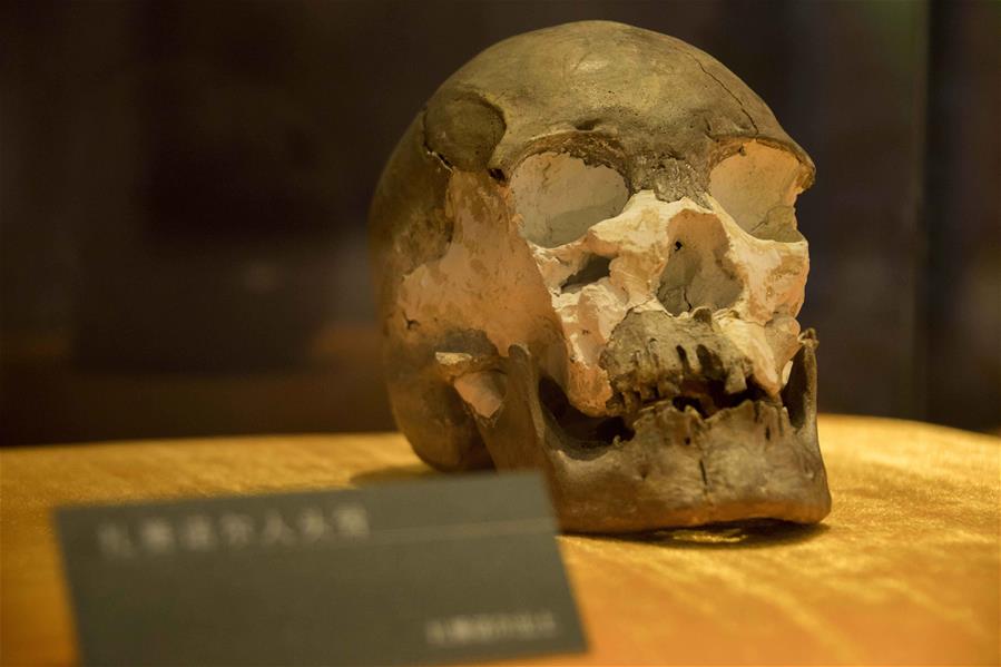 На северной границе Китая обнаружен человеческий череп возрастом 10 тыс. лет