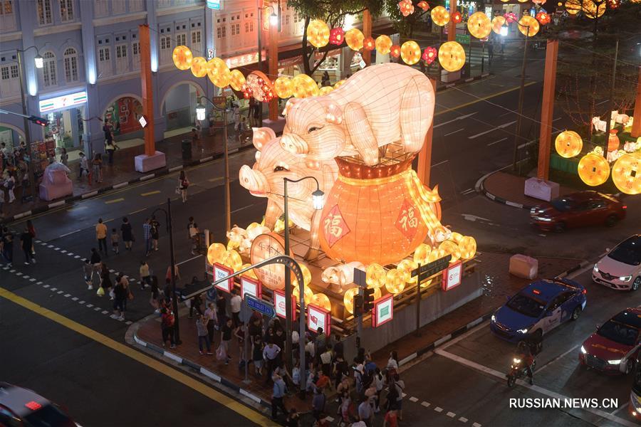 Сингапур готовится к встрече Года Свиньи