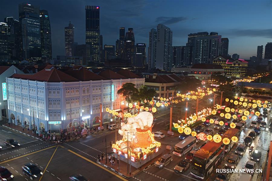 Сингапур готовится к встрече Года Свиньи