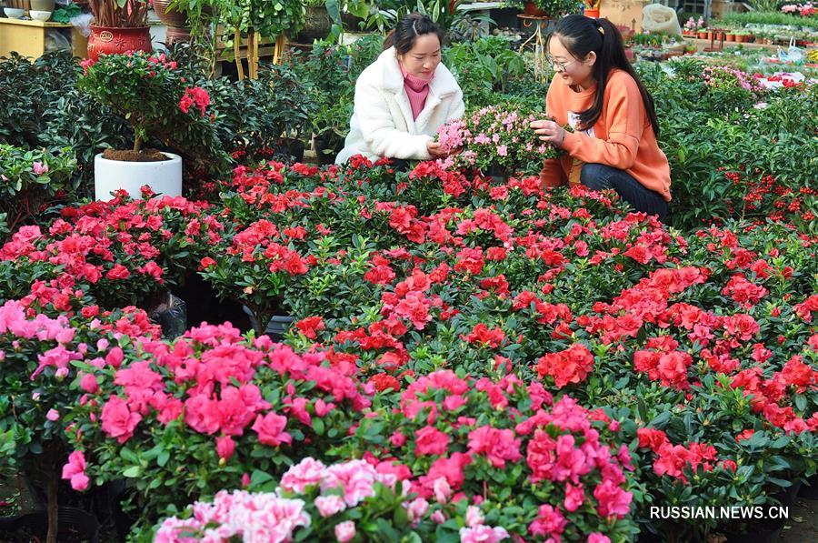 Цветы к Празднику весны