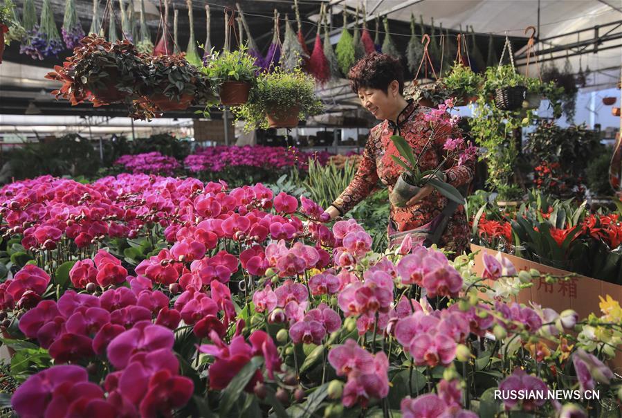 Цветы к Празднику весны