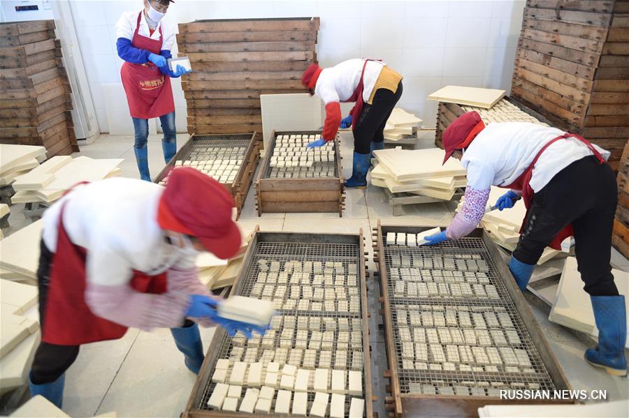 Пикантный соевый творог приносит благосостояние жителям уезда Моудин