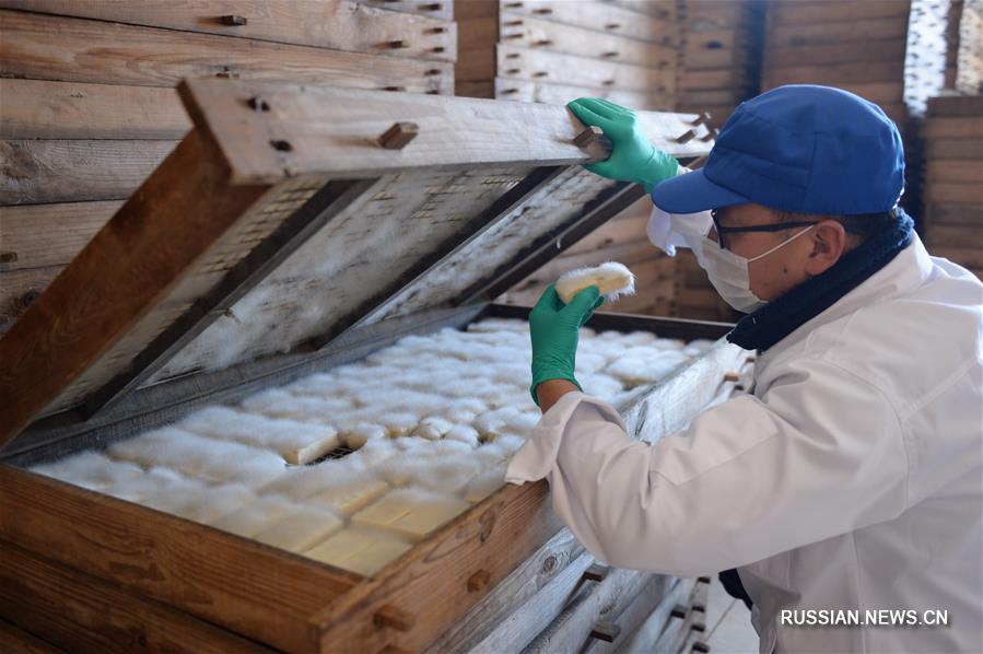 Пикантный соевый творог приносит благосостояние жителям уезда Моудин