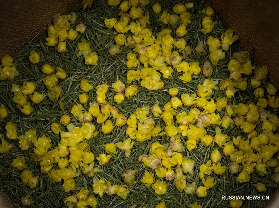 Белый чай на основе цветов химонанта из провинции Чжэцзян