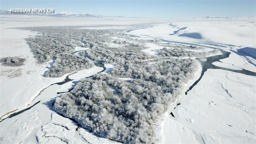 Зима в уезде Чжаосу Синьцзяна