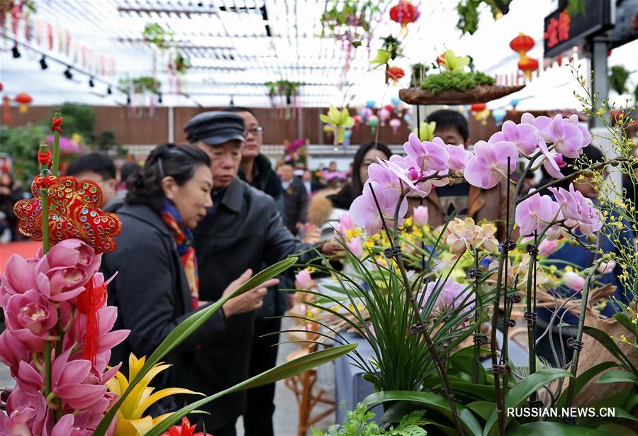 В Пекине открылась предновогодняя выставка цветов