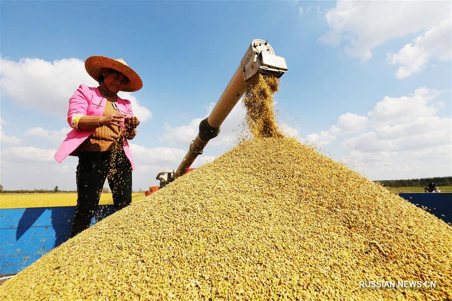 ВВП Китая впервые превысил отметку в 90 трлн юаней