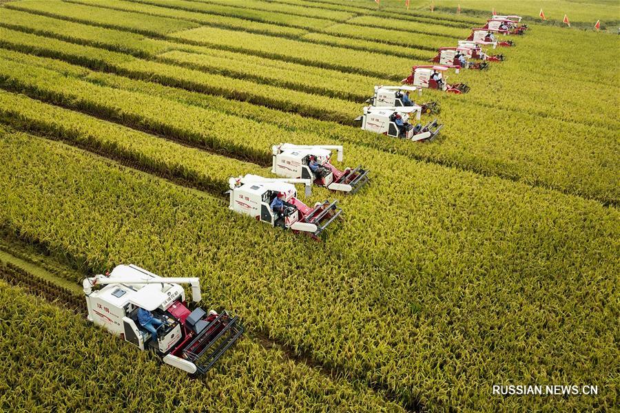 ВВП Китая впервые превысил отметку в 90 трлн юаней