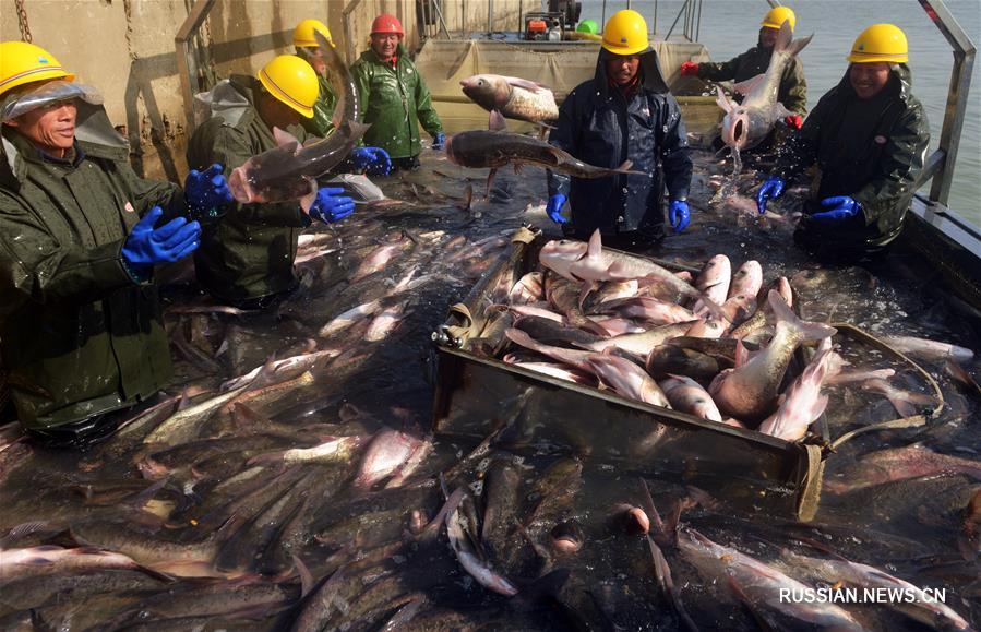 Зимняя рыбалка в провинции Аньхой 