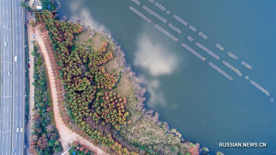 Вода в озере Дяньчи в 2018 году достигла IV класса качества