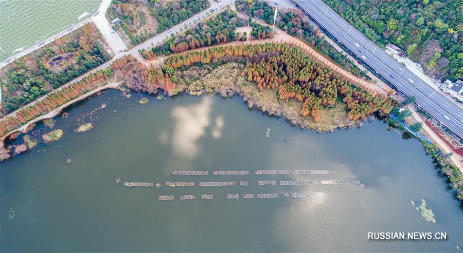 Вода в озере Дяньчи в 2018 году достигла IV класса качества