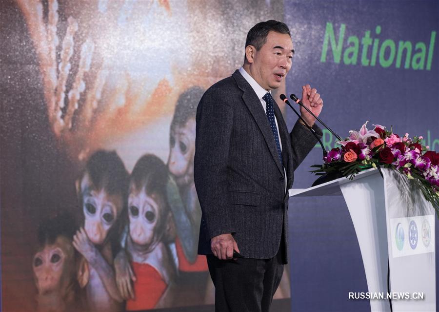 Китайские ученые получили первые в мире клонированные образцы от обезьяны с нарушением биоритма