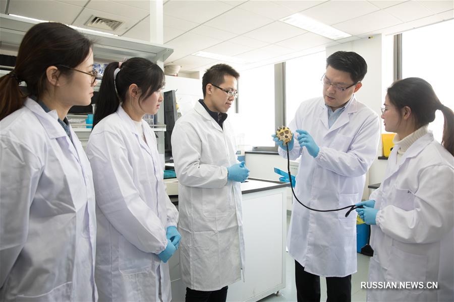 Китайские ученые получили первые в мире клонированные образцы от обезьяны с нарушением биоритма