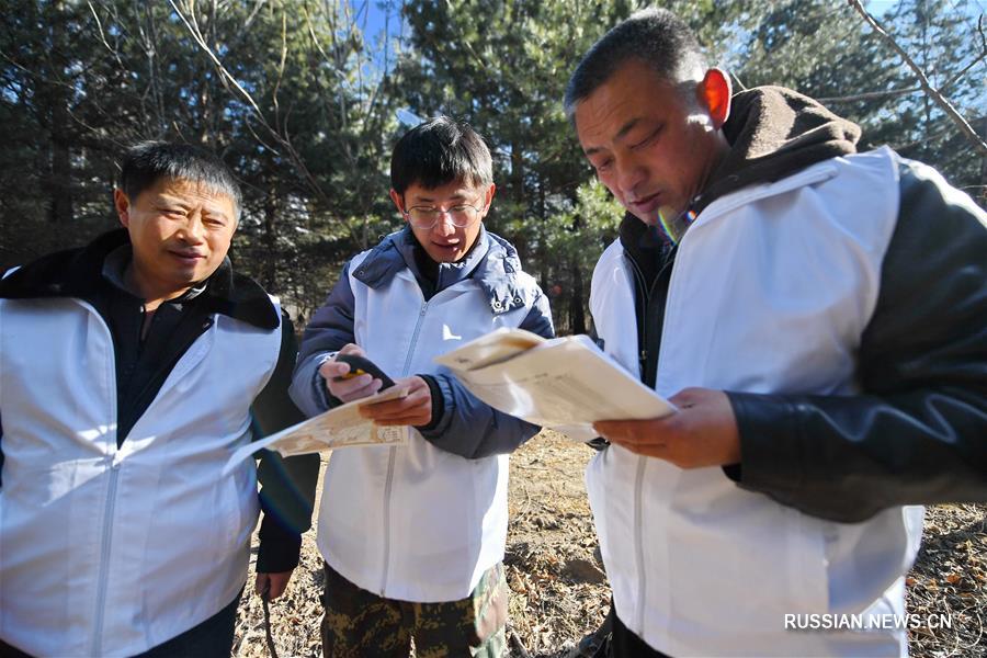 Участники 4-го Всекитайского конкурса лесных рейнджеров из Китая и России объединяют усилия для охраны маньчжурских тигров и дальневосточных леопардов