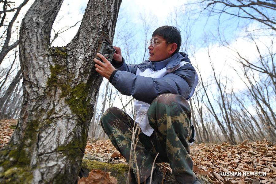 Участники 4-го Всекитайского конкурса лесных рейнджеров из Китая и России объединяют усилия для охраны маньчжурских тигров и дальневосточных леопардов