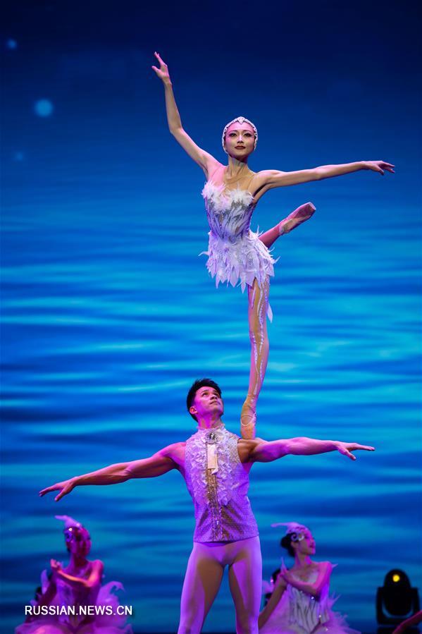 Праздничный вечер в честь Нового года по лунному календарю прошел в Аомэне