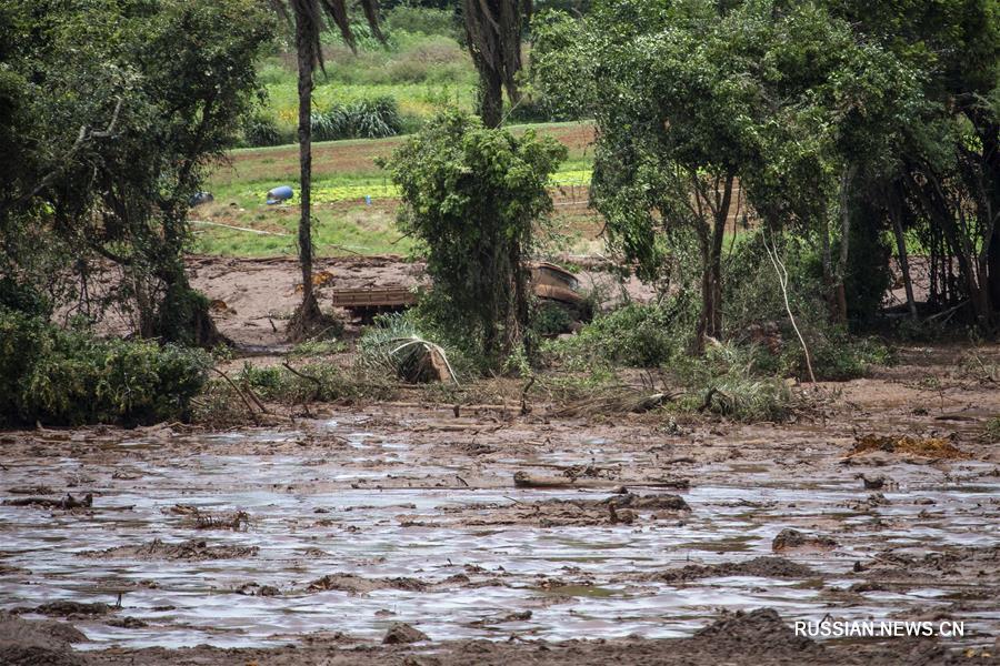 Число жертв прорыва дамбы в Бразилии возросло до 58 человек