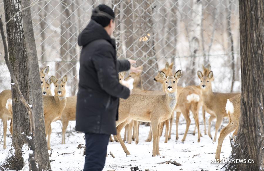 Зима в городе Шулань на северо-востоке Китая