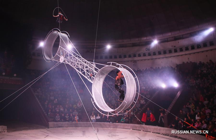 В Киеве гастролирует цирк из Германии