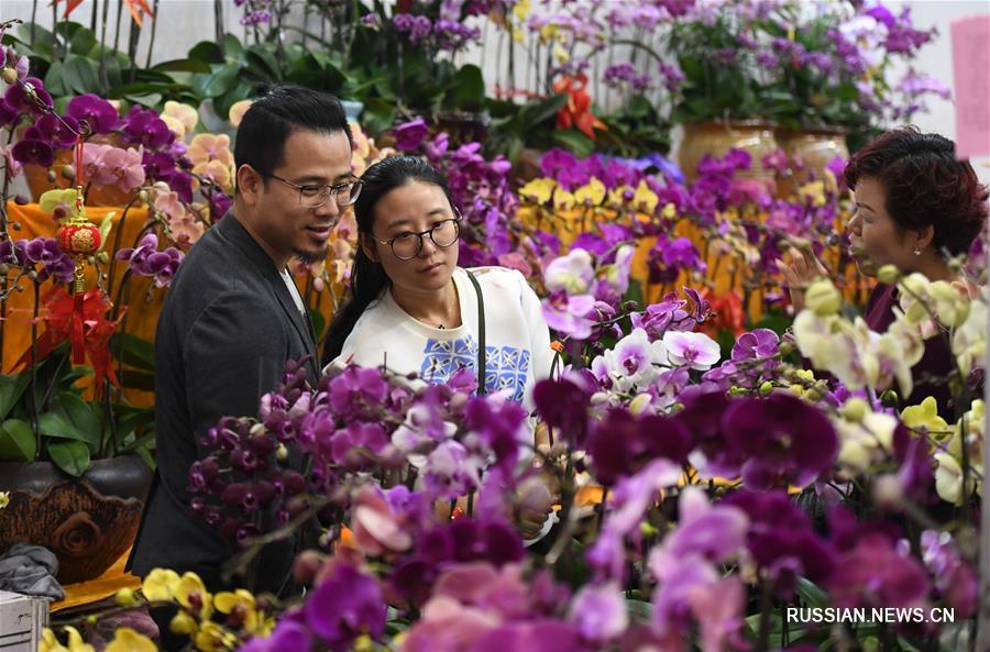 Жители г. Шэньчжэнь покупают живые цветы для встречи праздника Весны