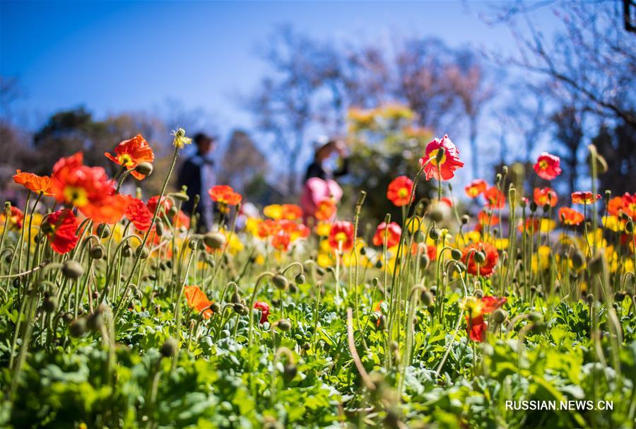 Праздничные дни в Китае
