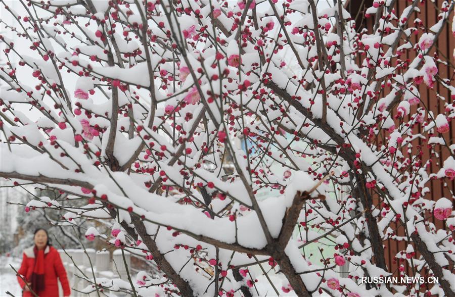 Во время празднования Нового года по лунному календарю в некоторых районах Китая выпал снег
