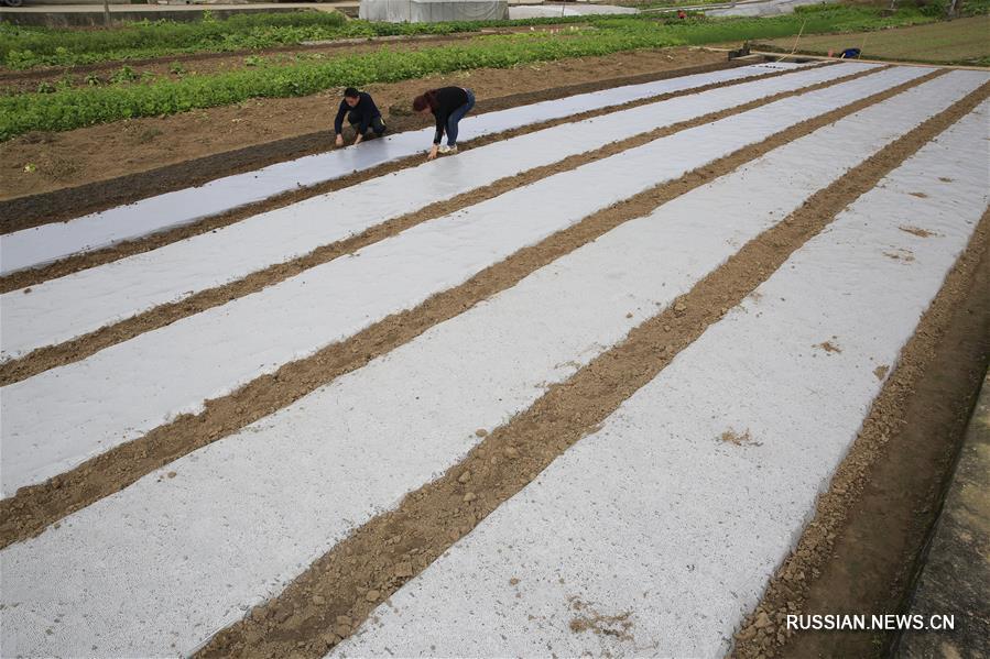 Сельскохозяйственные работы после праздника Весны