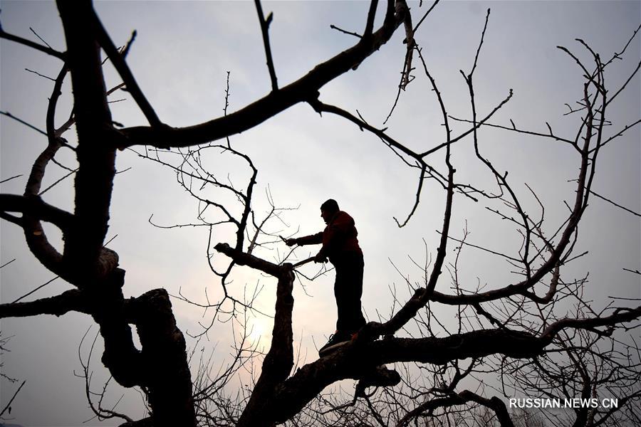 Сельскохозяйственные работы после праздника Весны