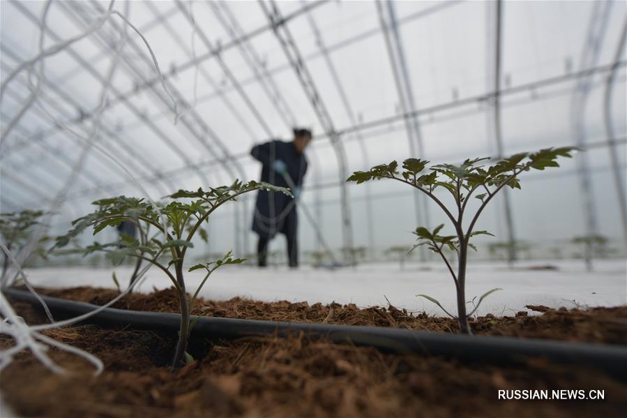 Сельскохозяйственные работы после праздника Весны