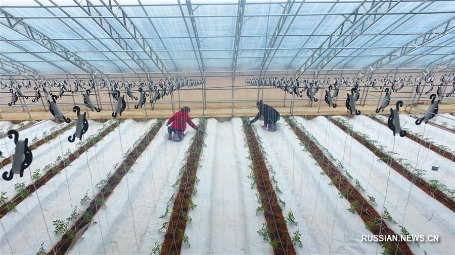 Сельскохозяйственные работы после праздника Весны