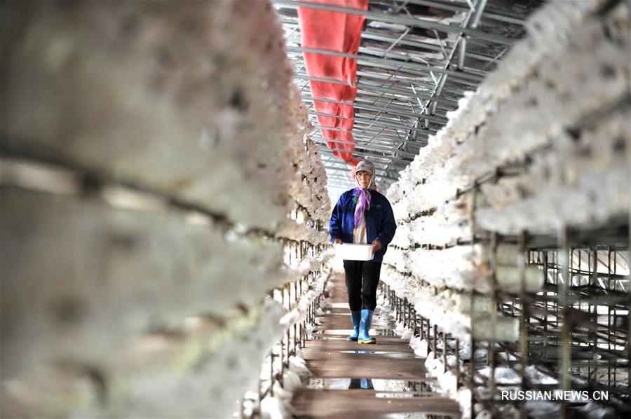 Китай планирует избавить еще 10 млн человек от бедности в 2019 году