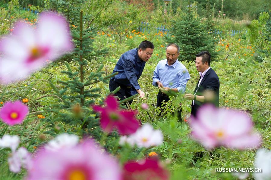 Китай планирует избавить еще 10 млн человек от бедности в 2019 году