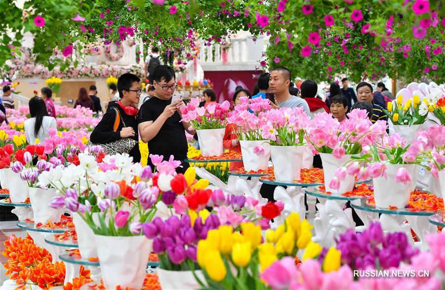За дни праздничных каникул туристические объекты Гуанчжоу приняли почти 17 млн посетителей