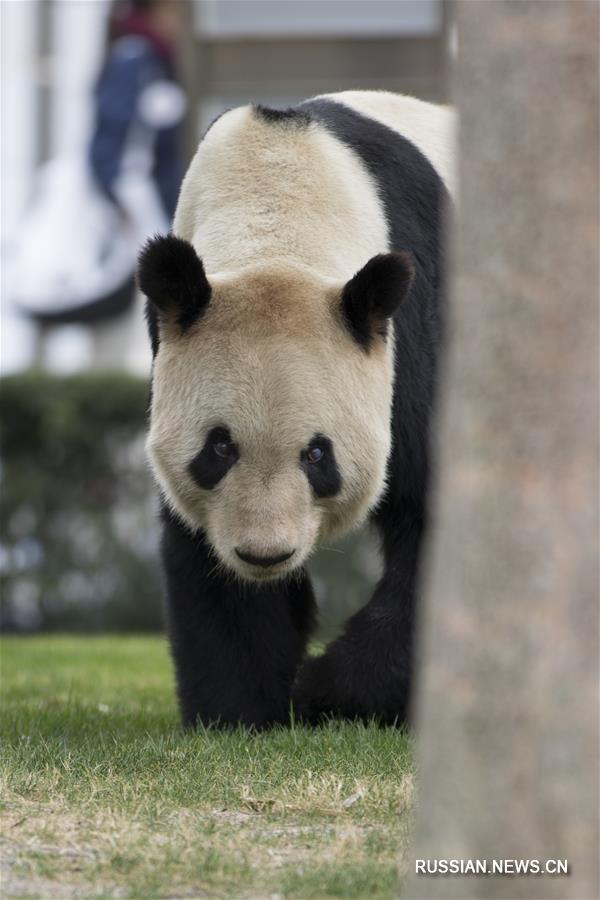 Подарок с любовью для Юнмина в День всех влюбленных  
