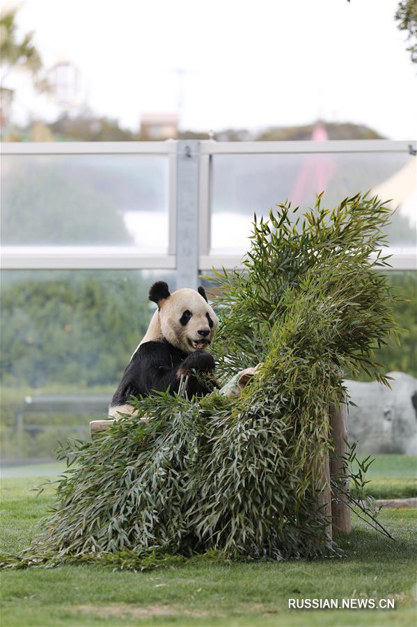 Подарок с любовью для Юнмина в День всех влюбленных