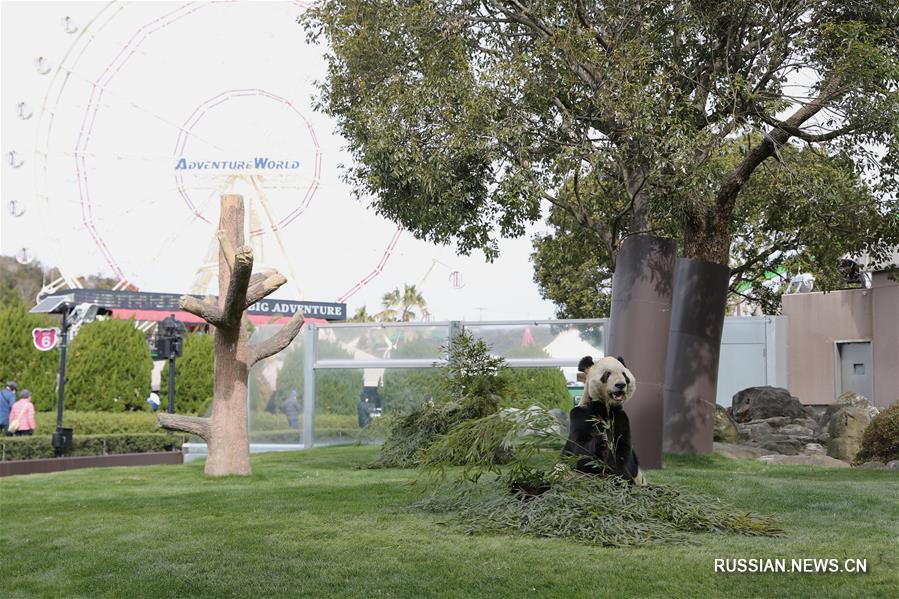 Подарок с любовью для Юнмина в День всех влюбленных  