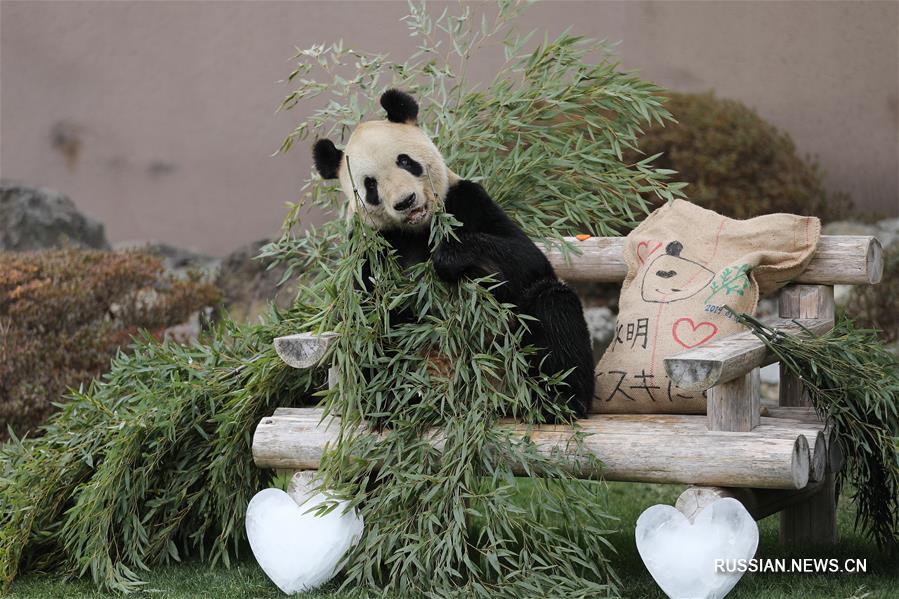 Подарок с любовью для Юнмина в День всех влюбленных  