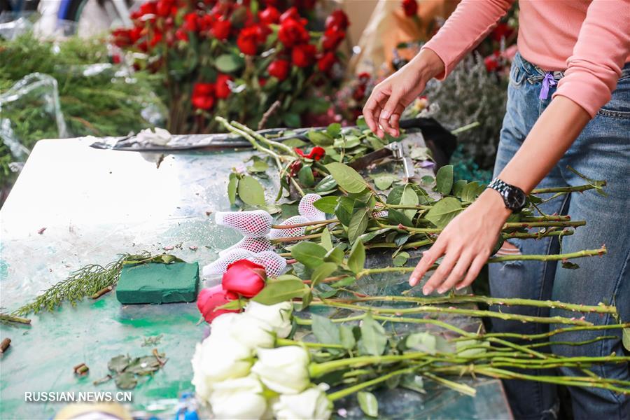 Из теплиц в Юньнане в цветочные магазины Таиланда -- путешествие китайских цветов