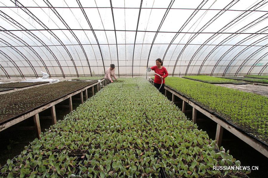 Весенние полевые работы в Китае
