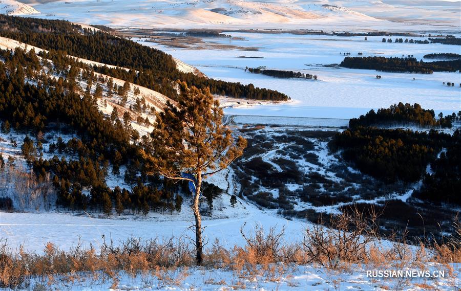 Зимний день в природном парке Мохээрту во Внутренней Монголии