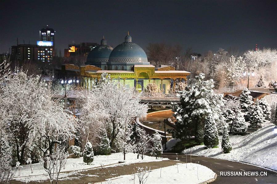Заснеженный Ташкент